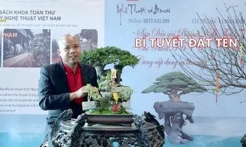 Kênh Truyền hình Nghệ thuật và Bonsai được vinh danh