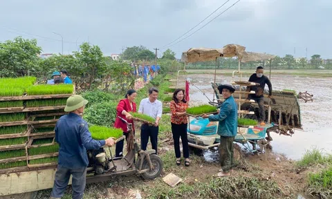 Giải pháp cho những thửa ruộng hoang.