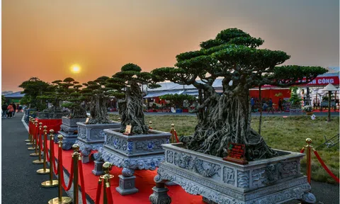 Liên hoan Sinh Vật Cảnh Thủ đô 2024