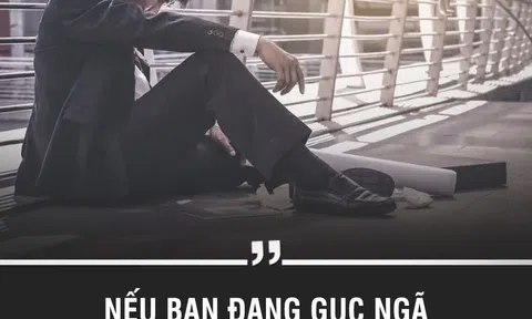 Lời hay ý đẹp: Khi bạn gục ngã hãy nhớ tới điều này