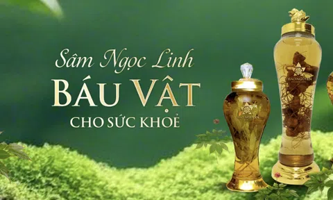 Thảo Nguyên - Lan toả giá trị dược liệu Ngọc Linh, giữ gìn sức khoẻ cộng đồng