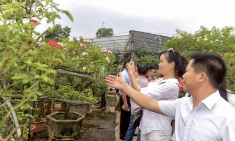 Từ không gian làng nghề đến sân chơi toàn cầu: Vai trò của thiết kế sáng tạo đối với sản phẩm OCOP Việt Nam