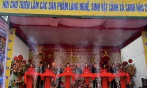 Thiết kế sáng tạo – động lực nâng cao giá trị sản phẩm OCOP trong chuỗi cung ứng hiện đại