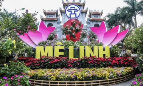 Thiết kế sáng tạo trong chiến lược đưa sản phẩm OCOP Việt Nam ra thị trường quốc tế