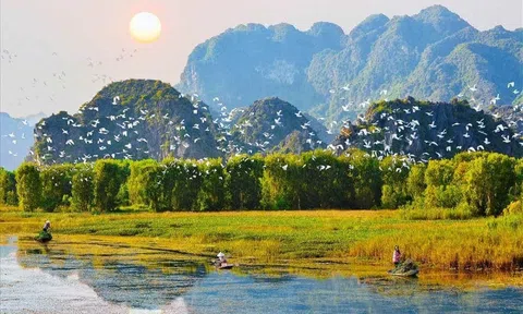 Tự thực và kiến tạo hệ sinh thái sống tỉnh thức