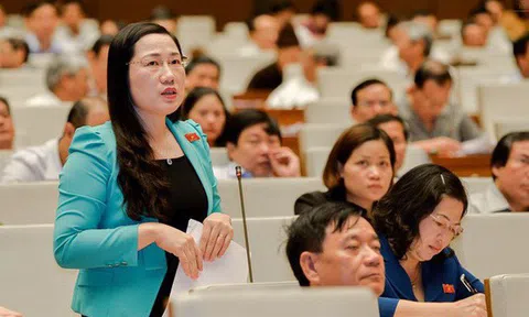ĐBQH dẫn vụ ly hôn của ông chủ cà phê Trung Nguyên để nói về hòa giải, đối thoại tại tòa