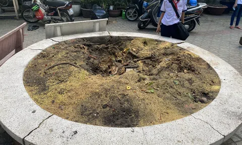 GiadinhNet - Hai học sinh bị nặng nhất trong số các em phải vào viện cấp cứu đã được tiến hành phẫu thuật vào ngày hôm qua.