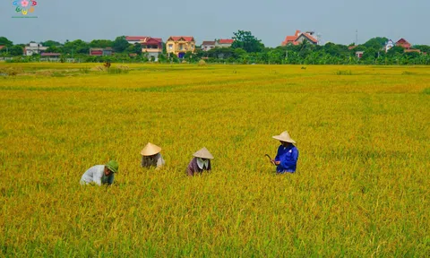CỘI NGUỒN CỦA RIÊNG TÔI – Làng “LỘI”