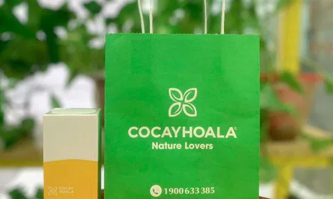 Cỏ cây hoa lá: Tìm lại giá trị nguyên bản từ thiên nhiên