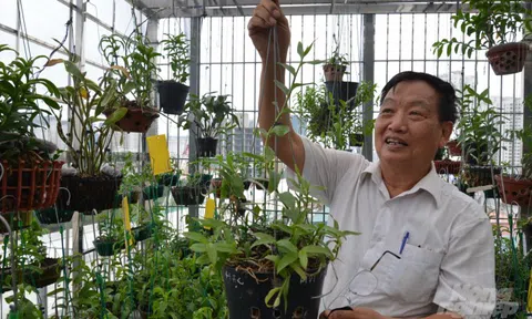 "Thả" Lan về rừng