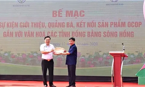 Hà Nội sẽ đấu giá nhiều sản phẩm nông nghiệp có giá trị và vật phẩm quý giá để ủng hộ đồng bào miền Trung bị ảnh hưởng bởi lũ lụt