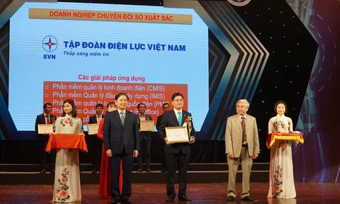 Trao giải thưởng Doanh nghiệp chuyển đổi số xuất sắc Việt Nam 2020