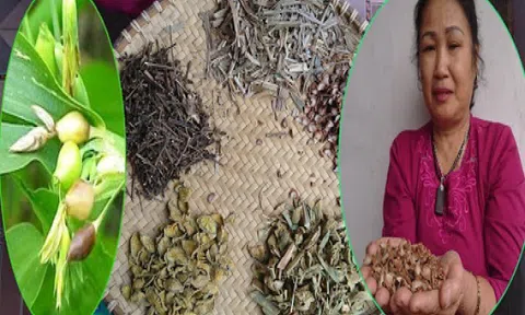 Lương y Nông Kim Hương – Tấm lòng tận tâm vì người bệnh