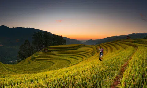 Sửng sốt dải ngân hà đẹp như phim ở Mù Cang Chải