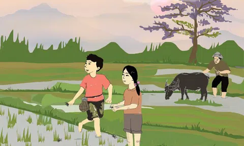 Cua đồng mùa mưa