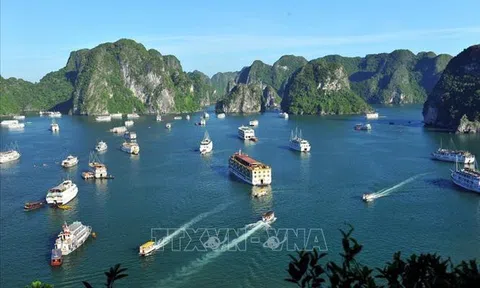 Việt Nam được bình chọn điểm đến, văn hoá, aarrm thực hàng đầu chấu Á