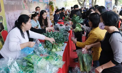 Hà Nội tiên phong phát triển sản phẩm OCOP