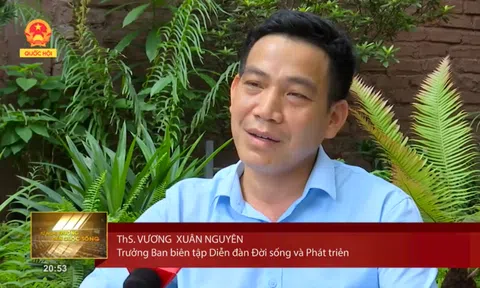 Diễn đàn Đời sống và Phát triển kiến nghị về vấn đề tăng cường quản lý Cây xanh đô thị
