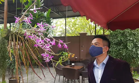 Xin đừng hoang mang