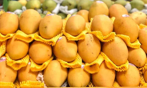Thực phẩm sạch vì sức khỏe cộng đồng