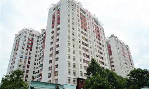 Xu hướng nhà đất mới hiện nay thuê chung cư giá rẻ