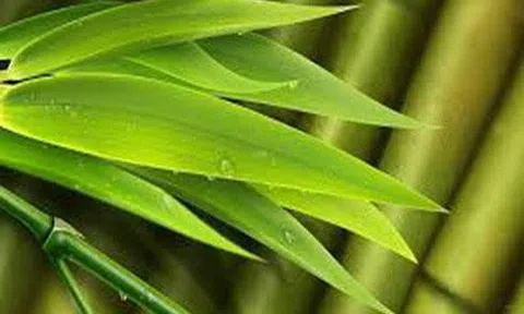 6 dấu hiệu của làn da lão hóa – Hãy dùng BABOLICA càng sớm càng có lợi