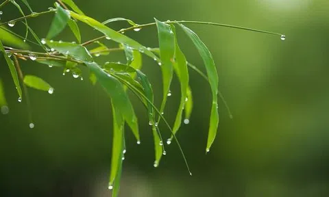 Điều trị nám da mãi không khỏi thường do 5 sai lầm này