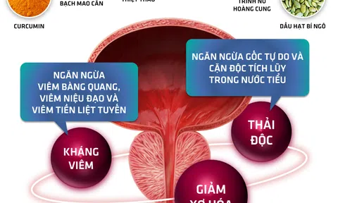 Hướng đi mới cho tình trạng tiểu nhiều, tiểu rắt, tiểu khó, tiểu buốt ở nam giới tuổi trung niên