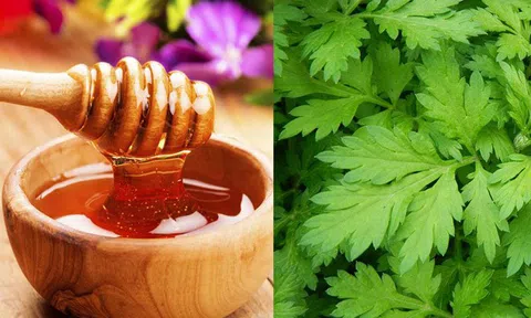 Những bài thuốc từ các loại cây từ thiên nhiên