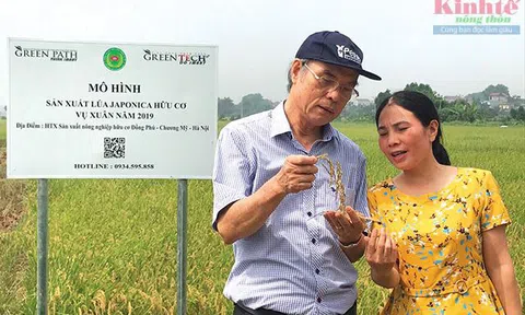 Về mô hình mở đường cho kinh tế hợp tác phù hợp với trình độ của kinh tế hộ nông dân