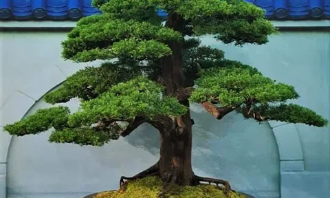 Hà Nội chuẩn bị tổ chức Featival sản phẩm nông nghiệp và Làng nghề thành phố 2019