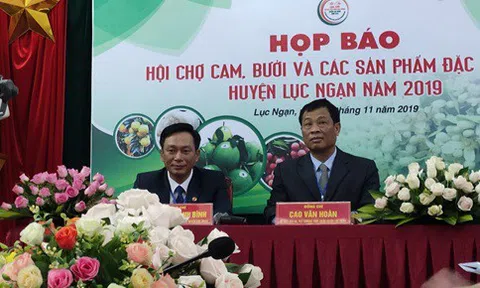 Lục Ngạn - Bắc Giang: Hội chợ cam, bưởi và các sản phẩm đặc trưng