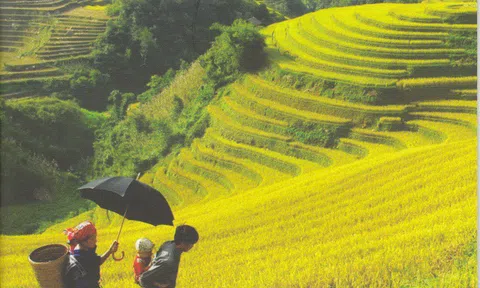 Tạp chí những đặc trưng khác với báo