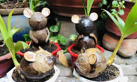 Biến quả dừa khô bỏ đi thành bonsai chuột tiền triệu, chàng thanh niên lãi đậm dịp Tết 2020