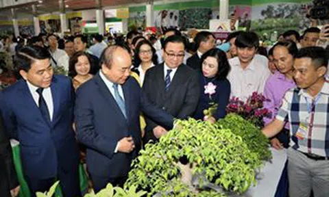 Hà Nội nhiều chính sách thúc đẩy phát triển làng nghề hoa cây cảnh