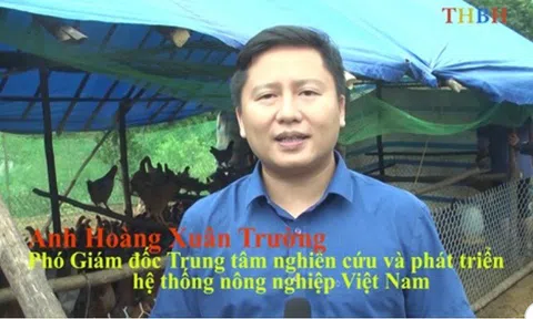 Mô hình gà đẻ trứng tại Bắc Hà