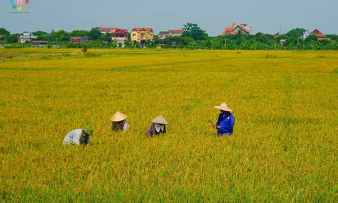 Em Có Về Cùng Xây Dựng Quê Hương.