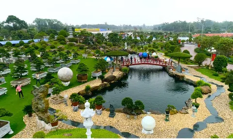 Khám phá Xuân Dũng Tân, tết Sum họp 2020 tại quê hương cách mạng Gió Ngàn - Thái Nguyên