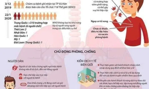 Thủ tướng chỉ đạo quyết liệt phòng, chống dịch bệnh viêm đường hô hấp cấp