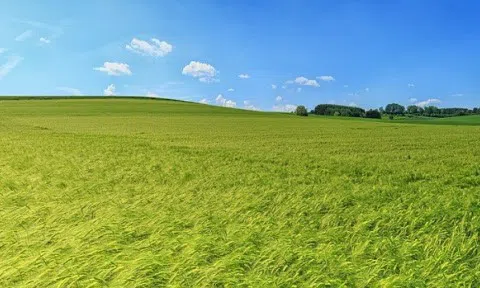 NÔNG DÂN ĐỒNG BẰNG SÔNG HỒNG VỚI KINH TẾ TẬP THỂ VÀ XÂY DỰNG HỢP TÁC XÃ NÔNG NGHIỆP (Phần II)