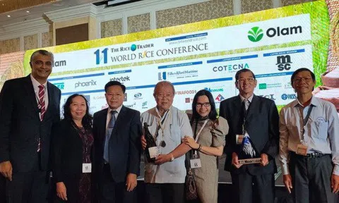 Lần đầu tiên Việt Nam đoạt giải gạo ngon nhất thế giới