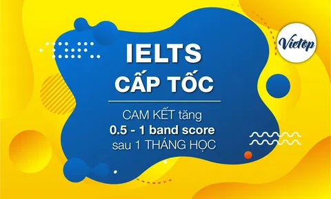 Lựa chọn khóa học luyện thi IELTS cấp tốc tại TP HCM uy tín