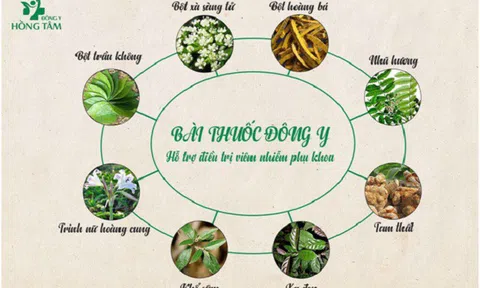 Kén Đặt Hồng Tâm - Bài thuốc Đông Y Gia Truyền  cho Phụ nữ Việt