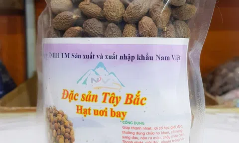 Nam Việt - thương hiệu đặc sản Tây Bắc nổi tiếng tại Việt Nam