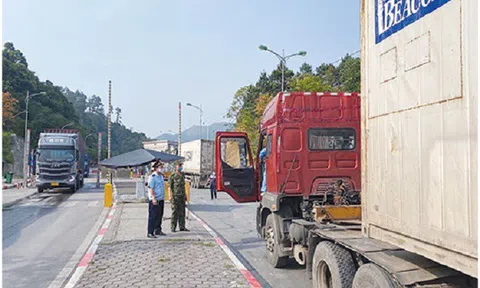 Cục Hải quan Lạng Sơn: Tích cực thúc đẩy hoạt động xuất nhập khẩu
