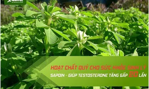 Cỏ Cari – thành phần quý nhập khẩu Mỹ giúp cải thiện sức khỏe sinh lý