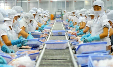 Năm 2020, nhiều mặt hàng sẽ hồi phục tăng trưởng