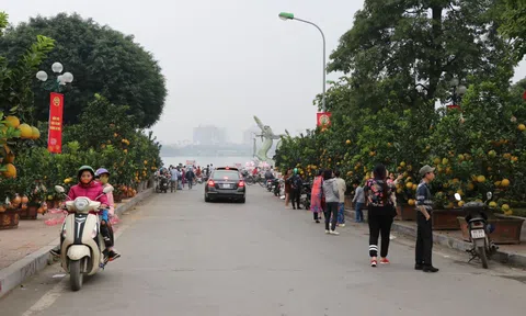 Đào, quất xuống phố, Tết đã gần lắm rồi