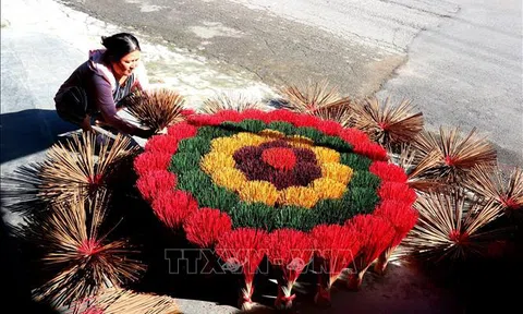 Thừa Thiên Huế: Làng hương Thủy Xuân rộn ràng 'mùa Tết'