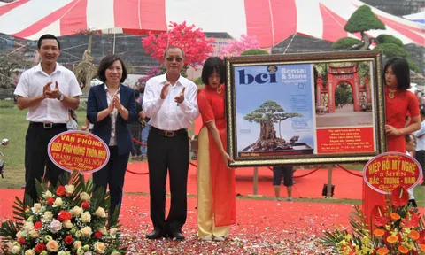 Cây cảnh nghệ thuật Việt Nam kết tinh những giá trị văn hóa nghệ thuật truyền thống độc đáo